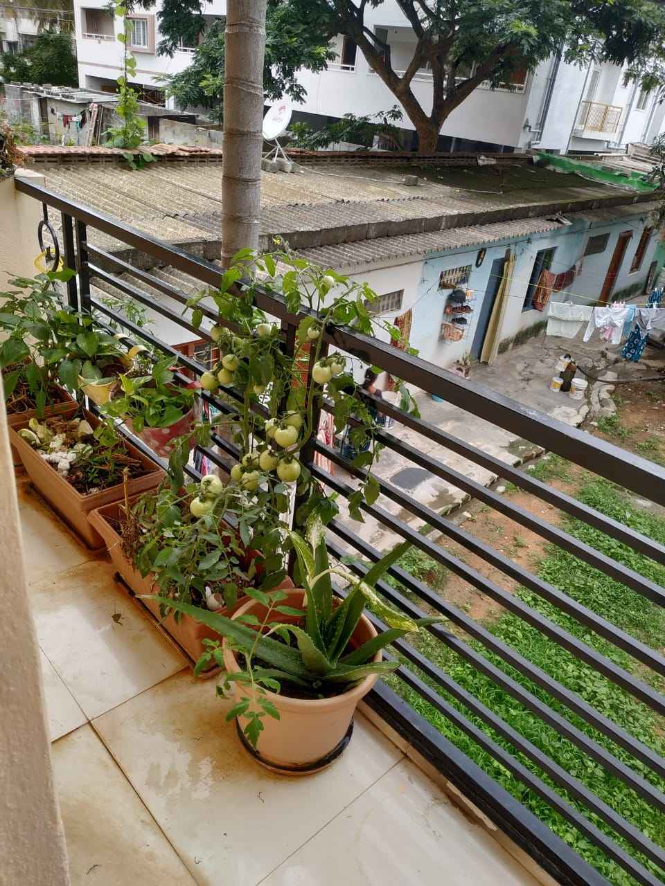 Property photo 7